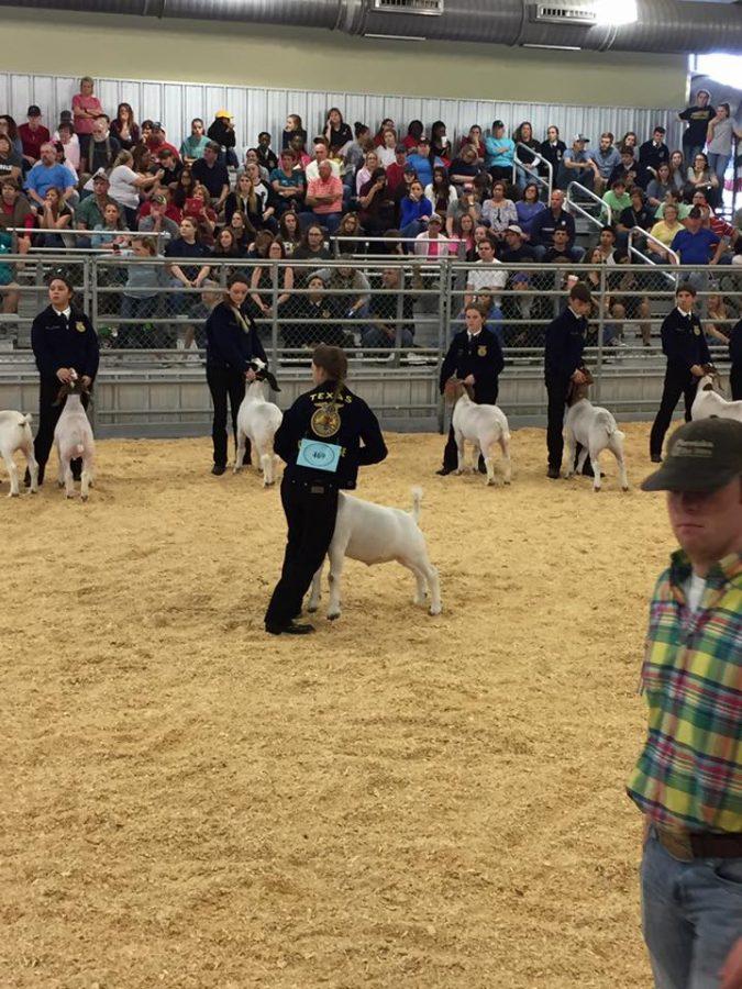 FFA Nicole for her 5th place Class 7 Market Goat and thank you to Flying M for purchasing her goat at the premium sale Feb 5