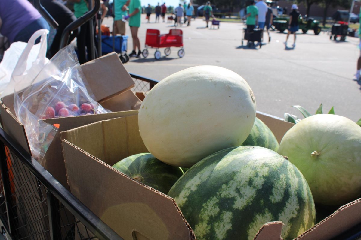 A customers cart full of melons and assorted produce. 